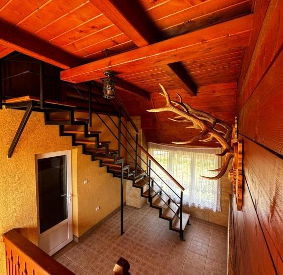 شقة غرفتين نوم مزودة بتراس, Pensiunea Dorina