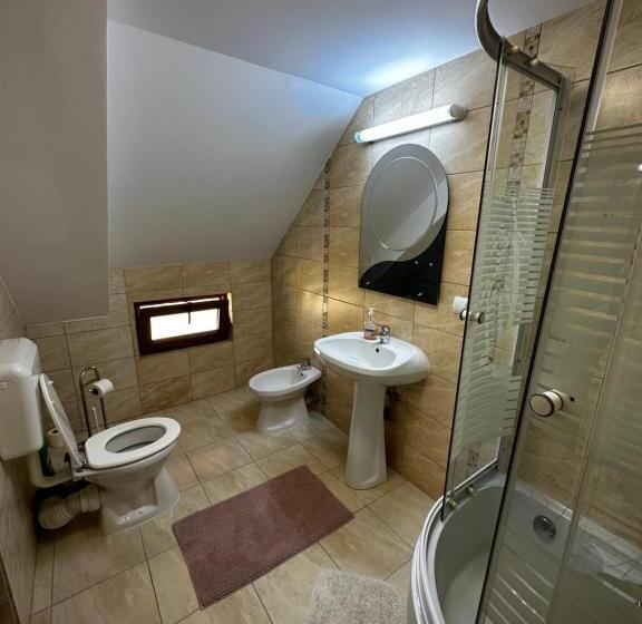 テラス付スタンダードルーム, Pensiunea Dorina