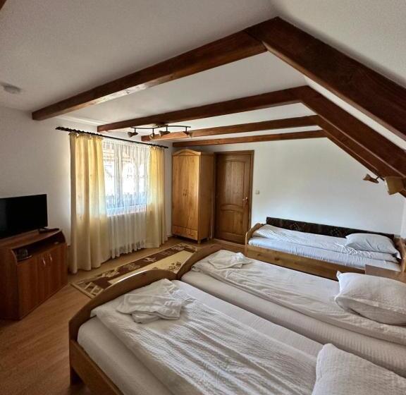 غرفة قياسية ثلاثية مزودة بتراس, Pensiunea Dorina