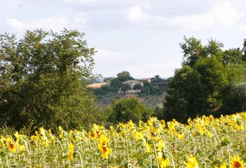 آپارتمان سوپریور 1 خوابه, Il Poggiolo