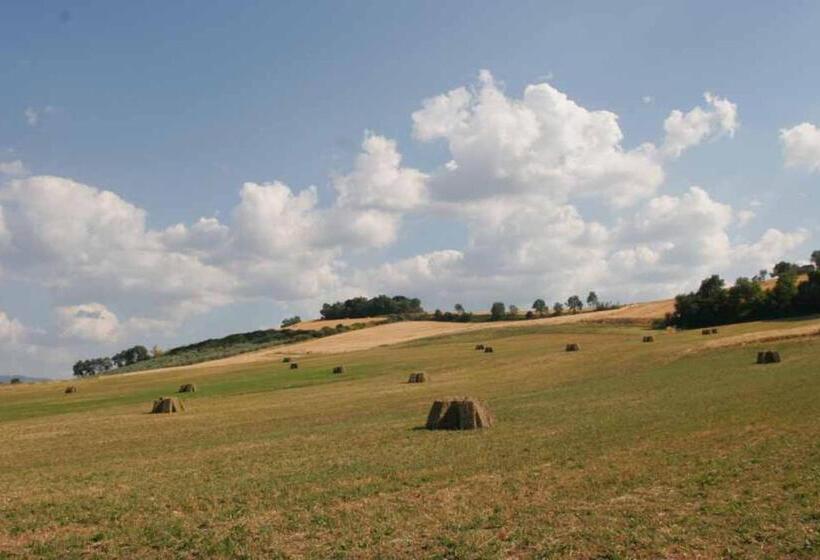 آپارتمان سوپریور 1 خوابه, Il Poggiolo