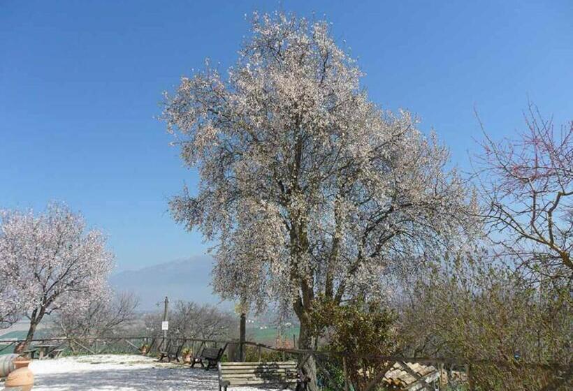 آپارتمان سوپریور 1 خوابه, Il Poggiolo