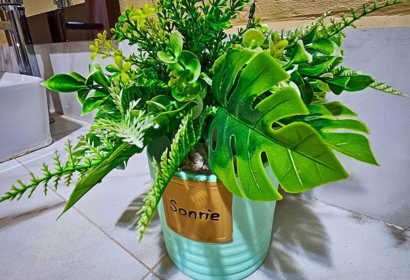 스탠다드 룸, Oasis