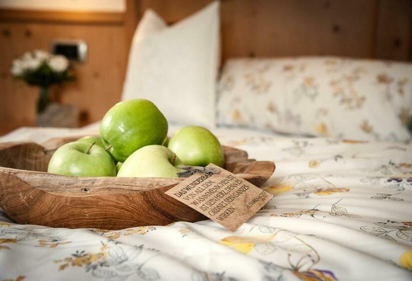 חדר סטנדרט, Active Hotel Sonne