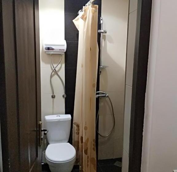 اتاق سوپریور با تخت بزرگ, Komitas Avenue Guest House