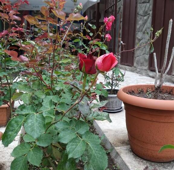 اتاق خانوادگی, Komitas Avenue Guest House