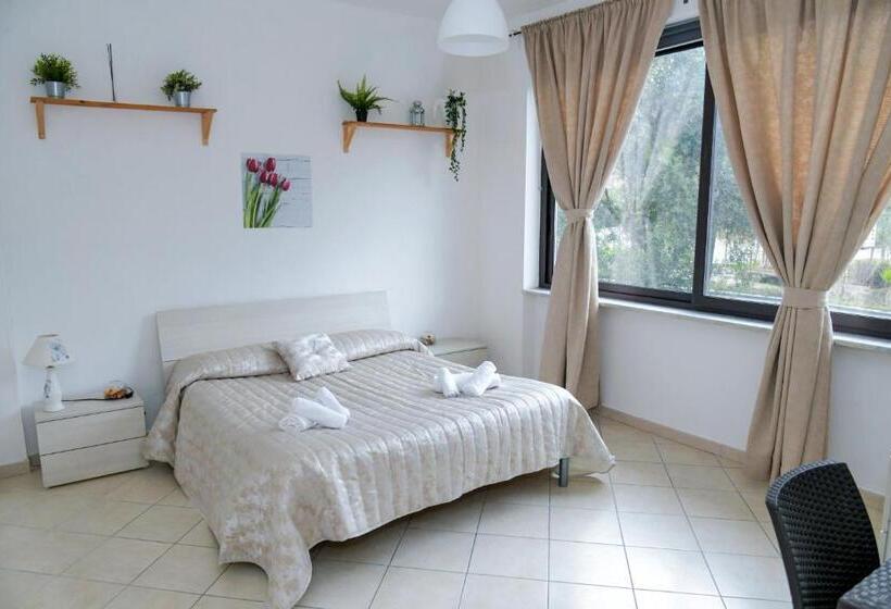 Quarto Quádruplo Clássico, B&b Damiani