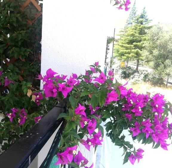 バルコニー付スタンダード4ベッドルーム, B&b Damiani