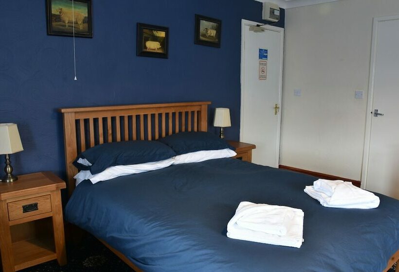 Family Room, Dinorben Arms