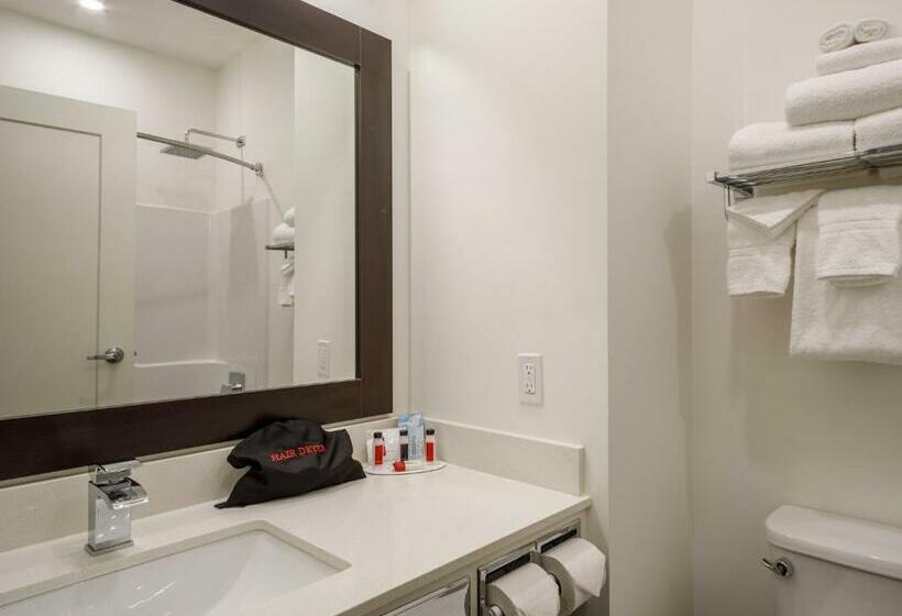 ２ベッドスイートルーム, Ramada By Wyndham Revelstoke
