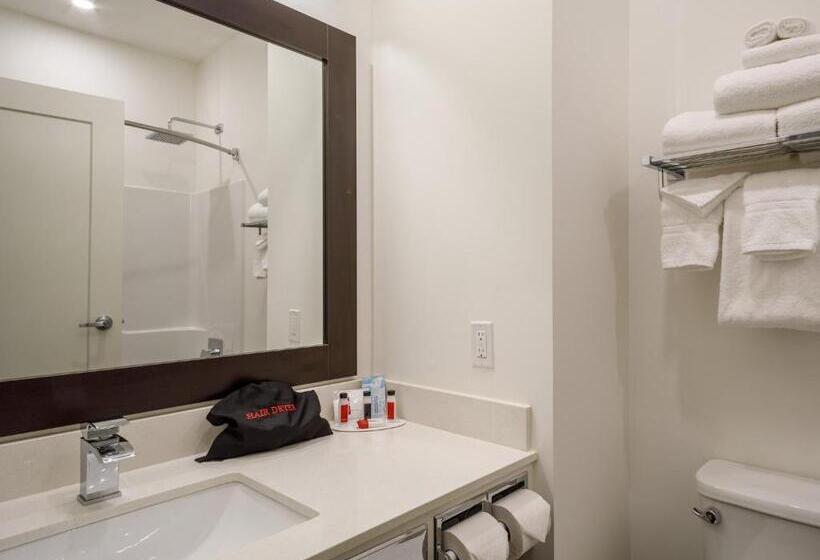 חדר סטנדרט עם מיטת קינג, Ramada By Wyndham Revelstoke