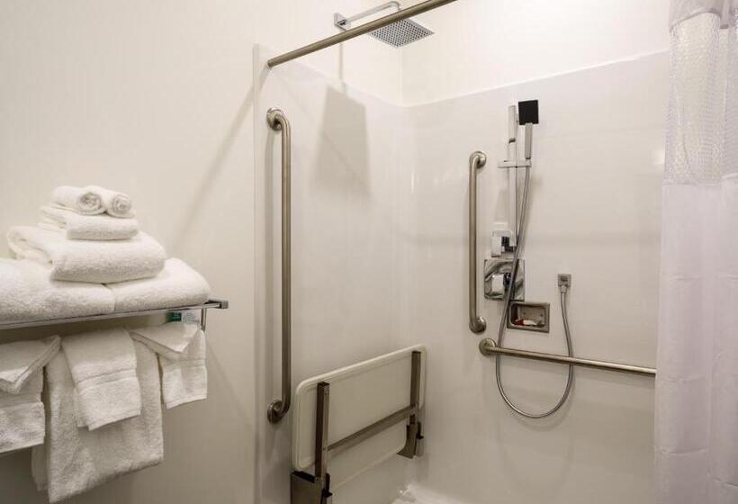 חדר סטנדרט עם מיטת קינג, Ramada By Wyndham Revelstoke