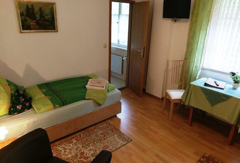 Quarto Estandar Individual, Stahlbad Bad Peterstal
