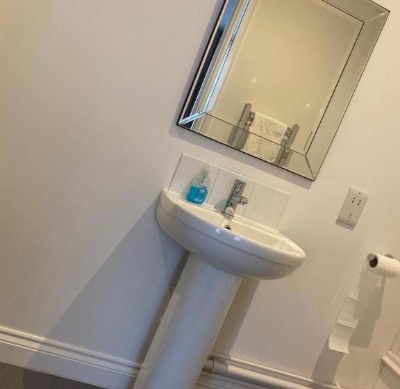 غرفة قياسية ثلاثية, Black Lion