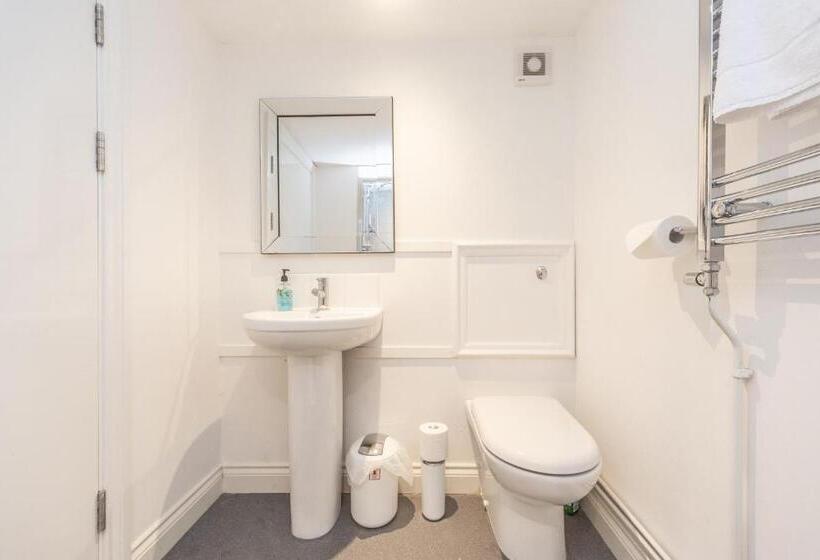 غرفة قياسية رباعية, Black Lion