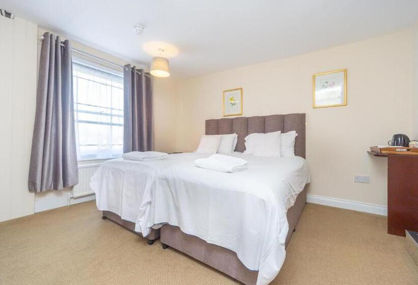 غرفة قياسية, Black Lion