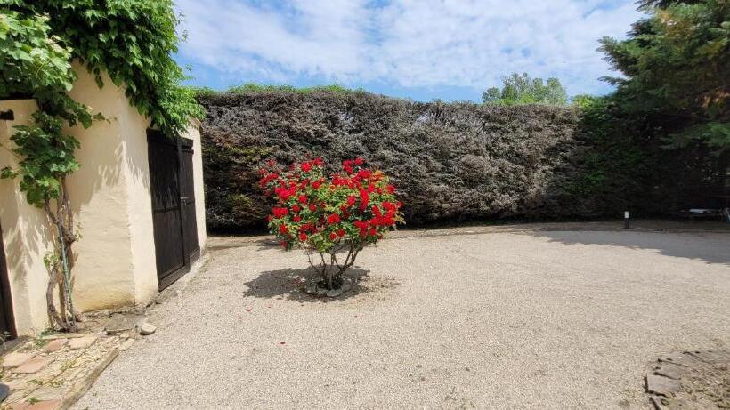 غرفة إقتصادية, Villa Liberty