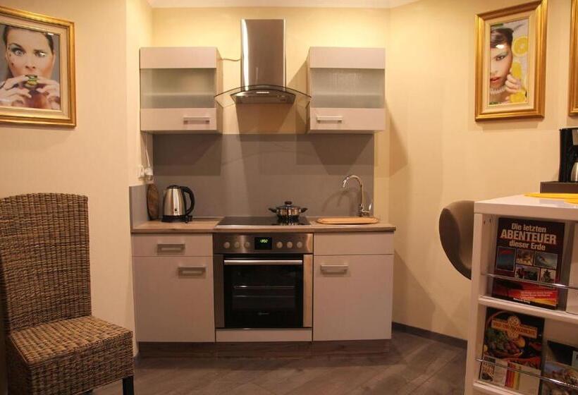 低层单卧公寓, My City