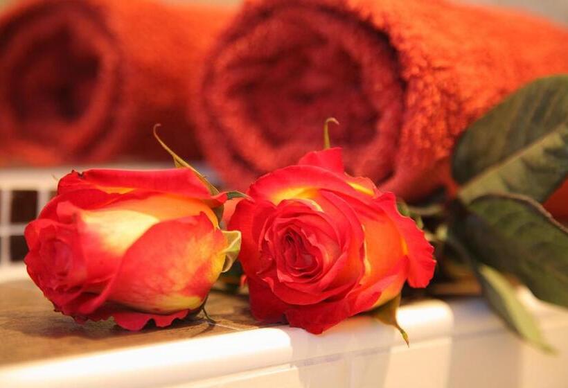 اتاق استاندارد یک تخته با بالکن, Theresenhof