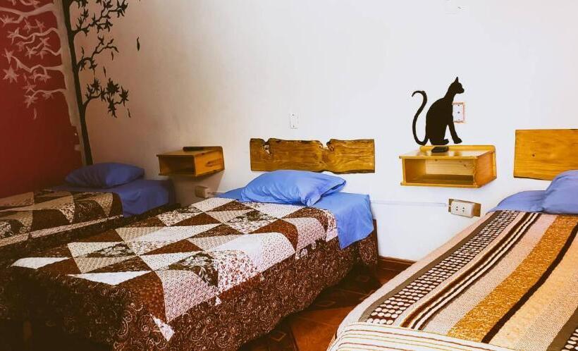 غرفة قياسية ثلاثية, Huaraz Colonial