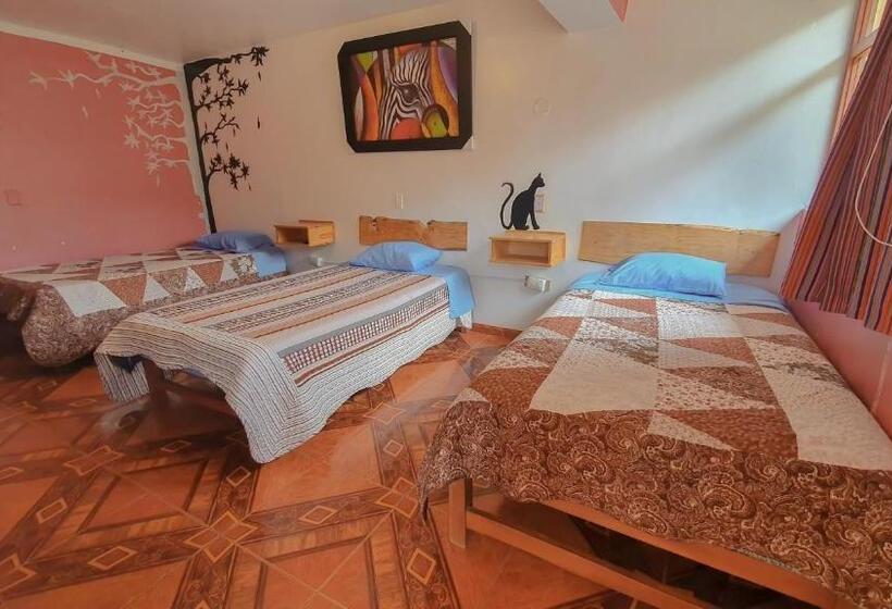 غرفة قياسية ثلاثية, Huaraz Colonial