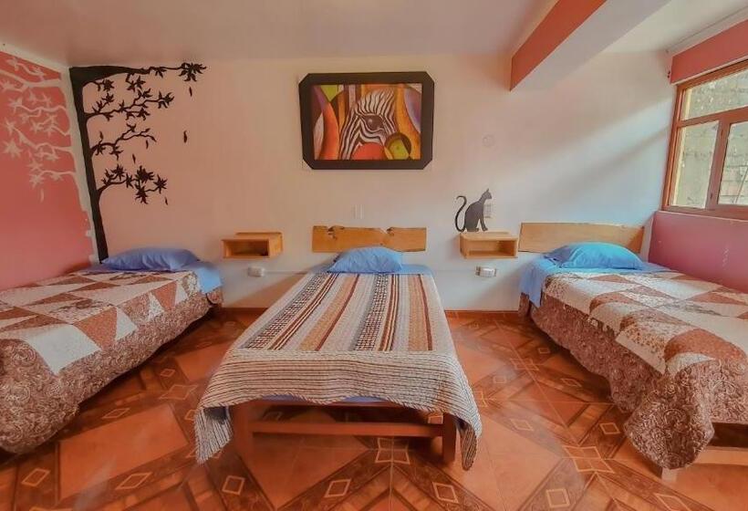 غرفة قياسية ثلاثية, Huaraz Colonial