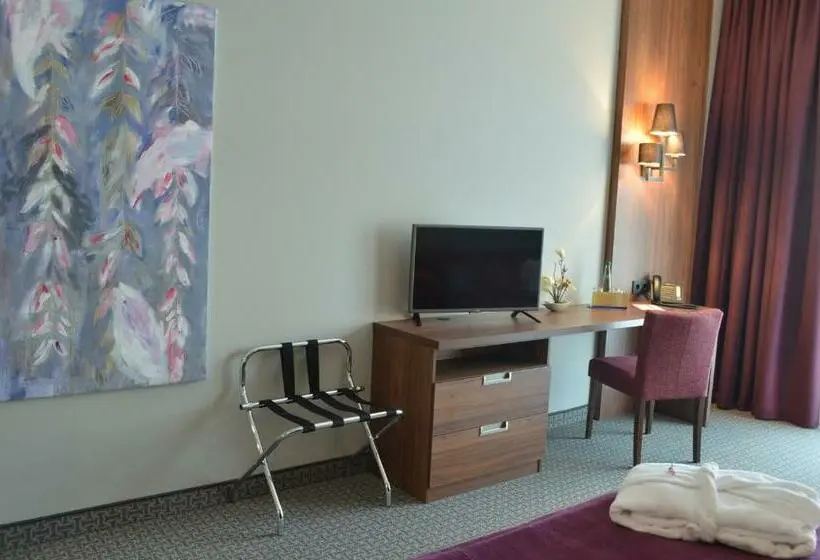 スタンダードルーム, Sante Royale Hotel  & Gesundheitsresort Bad Langensalza