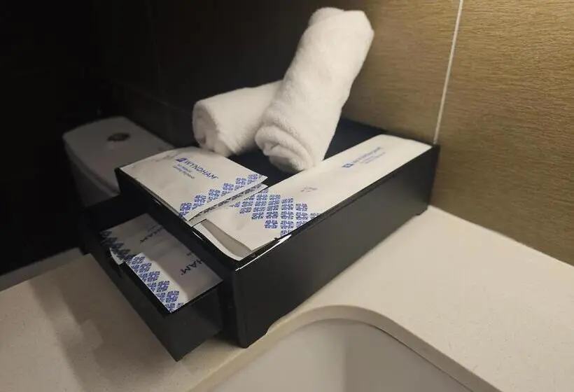 キングサイドベッドのスタンダードワンルーム, Wyndham Ion Majestic Genting Highlands