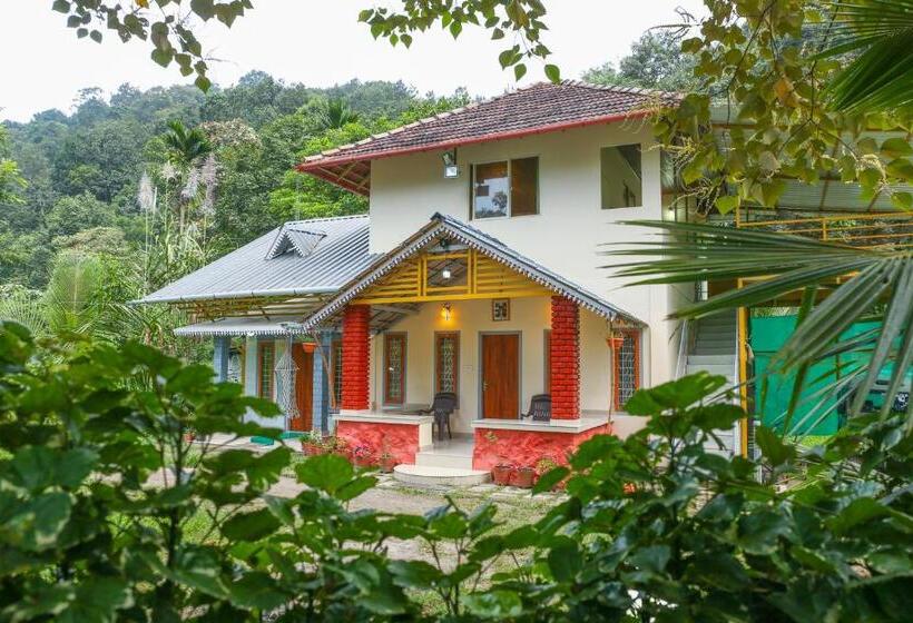 Quarto Estandar, Rock Haven Wayanad