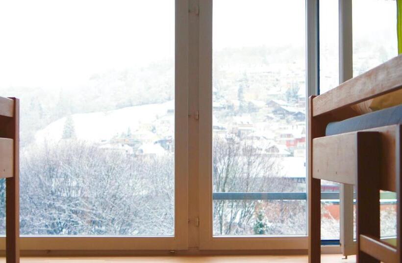 חדר סטנדרט חדר אמבטיה משותף, Hostel 77 Bern