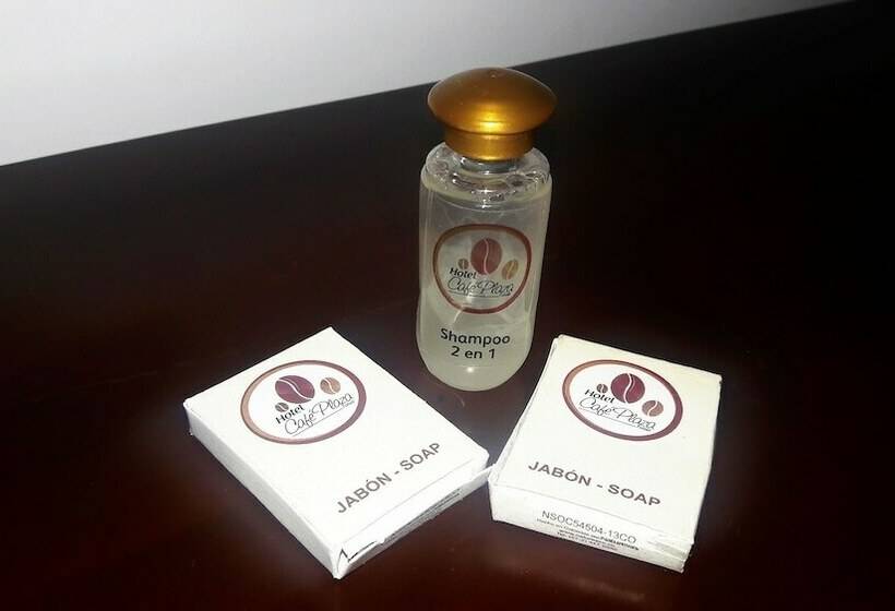 חדר אקונומי, Cafe Plaza