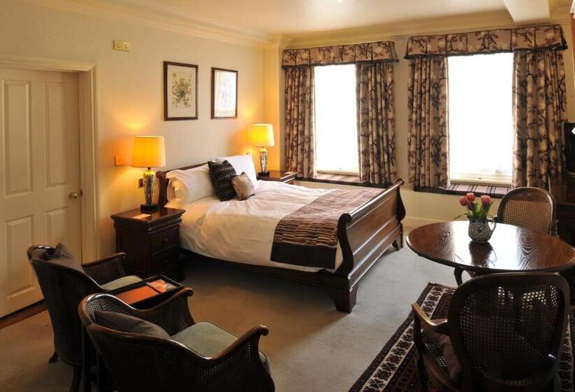 スーペリアールーム, The Old Vine