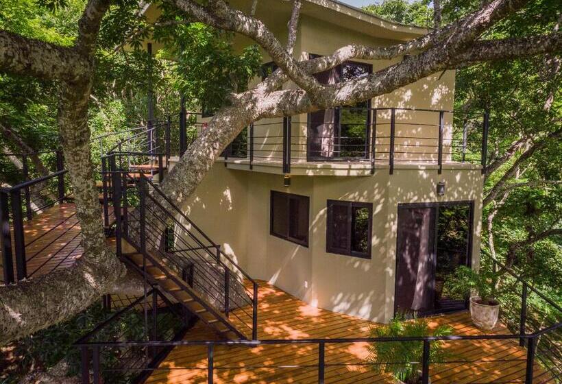 بانگلوی استاندارد, Treecasa Hotel & Resort Nicaragua