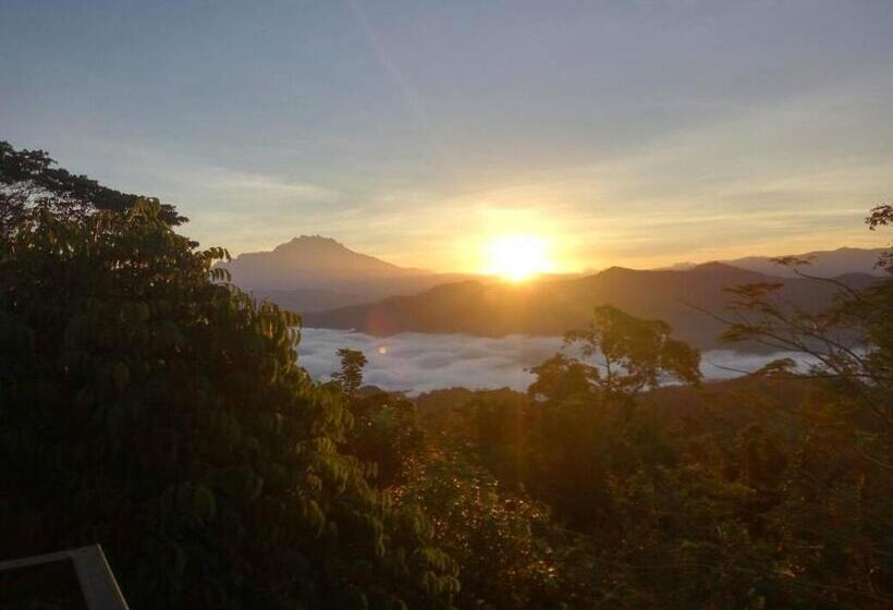 חדר משפחתי, Kokol Haven Resort