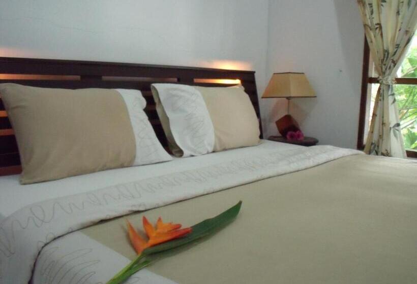 패밀리 룸, Squid Resort