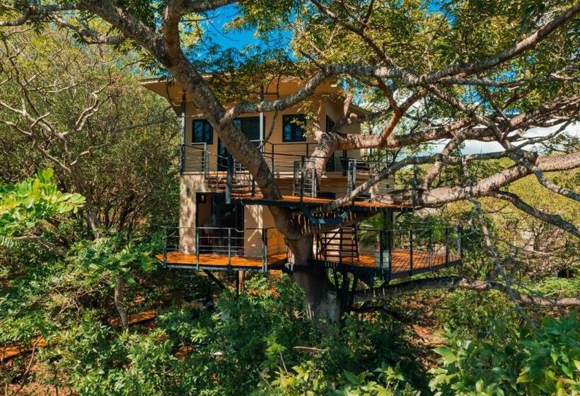 Бунгало Стандарт, Treecasa Hotel & Resort Nicaragua