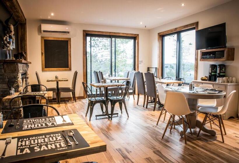 이코노미 룸, Gîte Du Haut Des Arbres