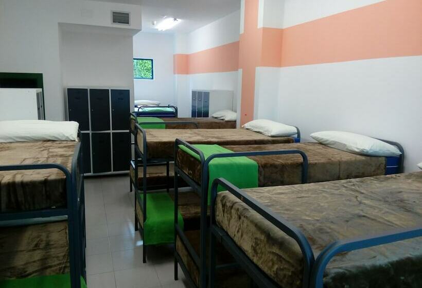 سرير فى غرفة مشتركه, Hostel De Las Facultades