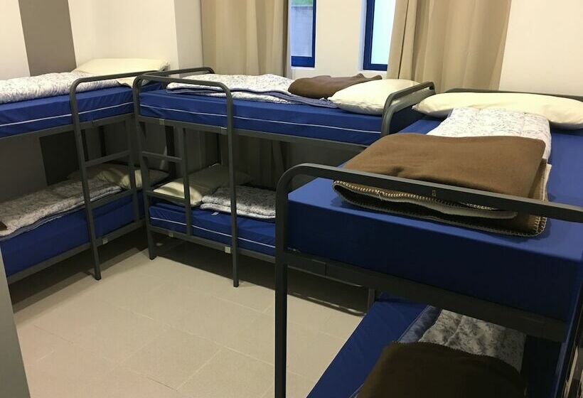 سرير فى غرفة مشتركه, Hostel De Las Facultades