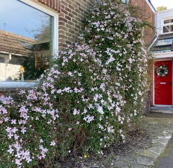 豪华园景房, Overdale Motel