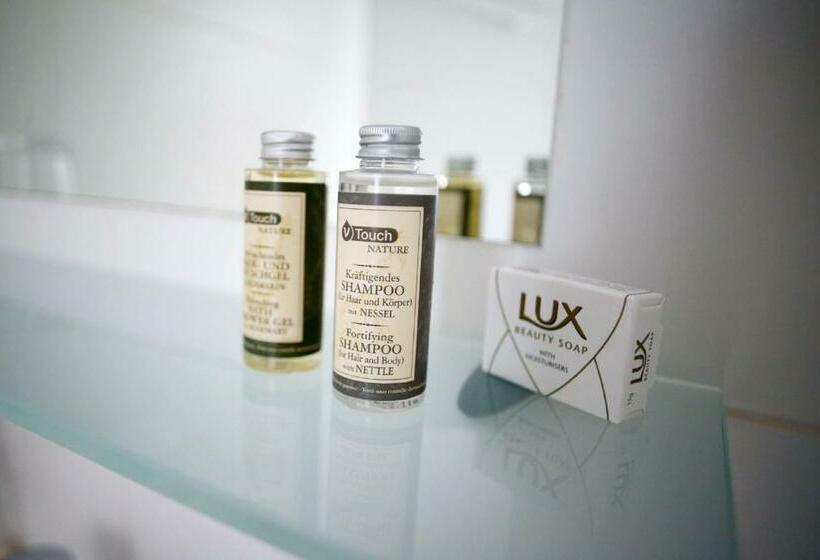 غرفة قياسية فردية, Wallseerhof