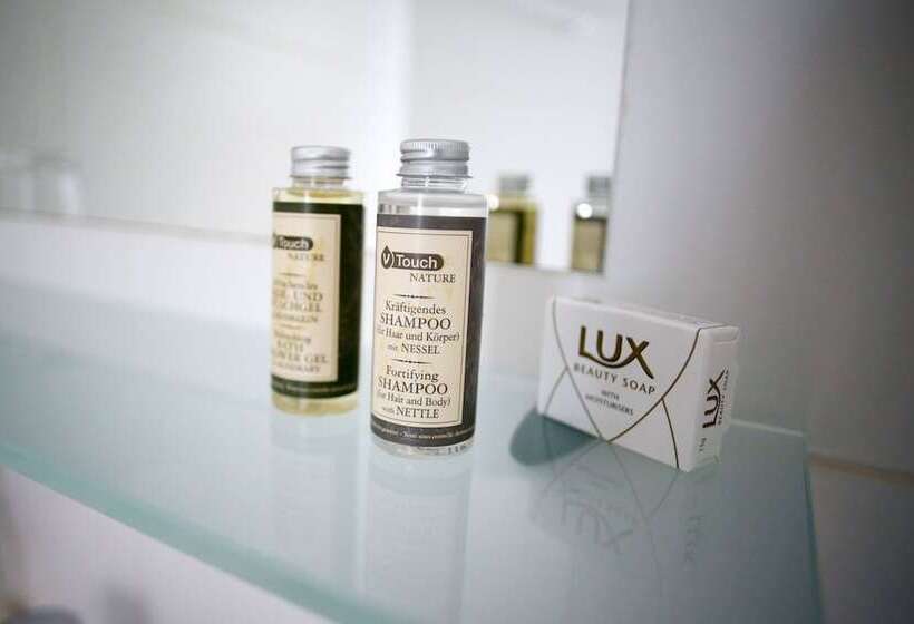 غرفة قياسية فردية, Wallseerhof