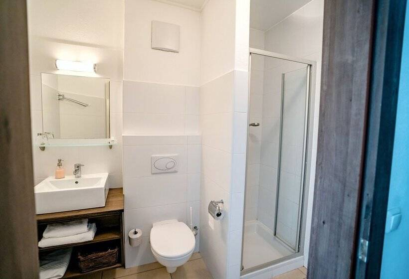 غرفة قياسية فردية, Wallseerhof