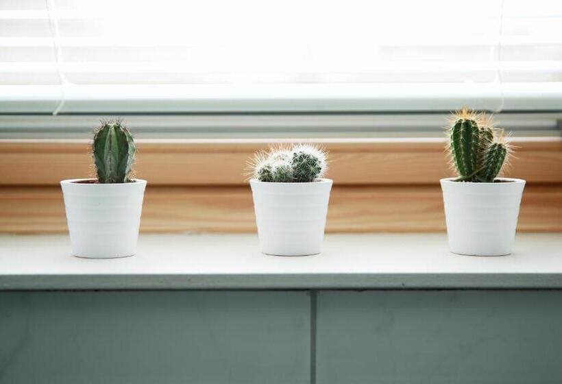 ガーデンビューデラックスルーム, Picabella   B&b En Atelier