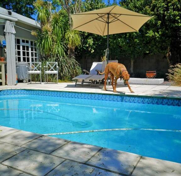 标准房带园景, Almond Cottage Bed & Breakfast