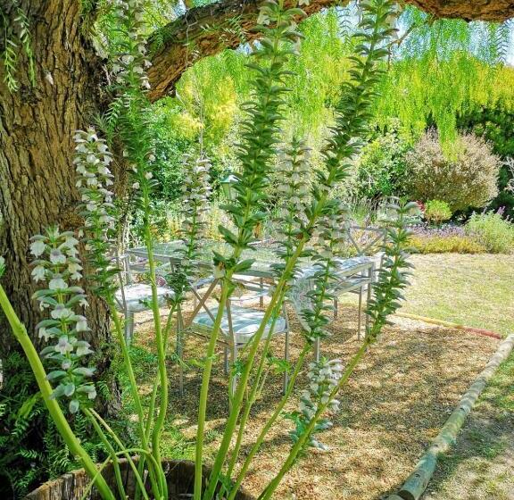 标准房带园景, Almond Cottage Bed & Breakfast