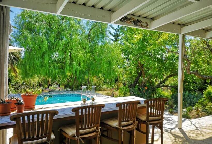 豪华房间, Almond Cottage Bed & Breakfast