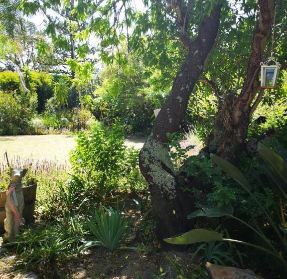 豪华房间, Almond Cottage Bed & Breakfast