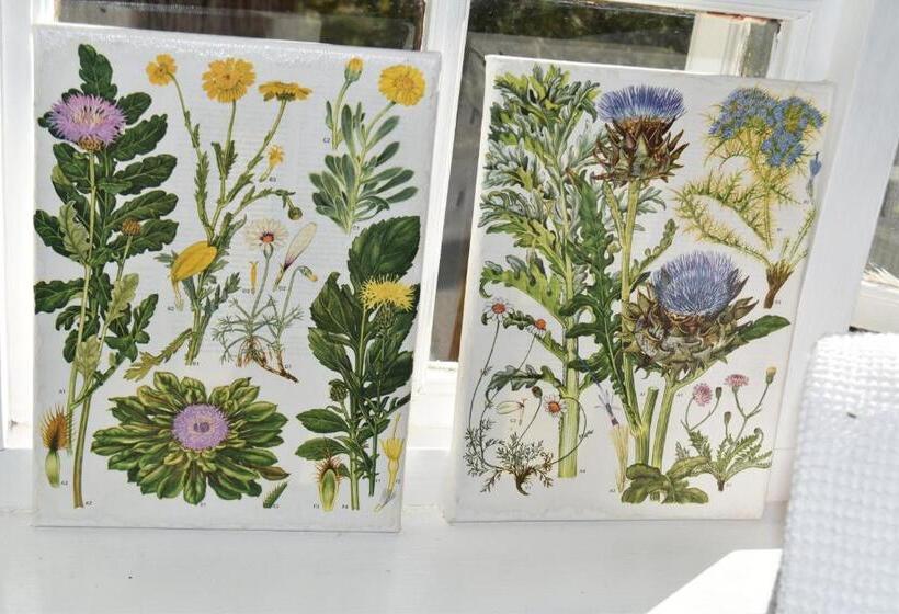 标准房带园景, Almond Cottage Bed & Breakfast