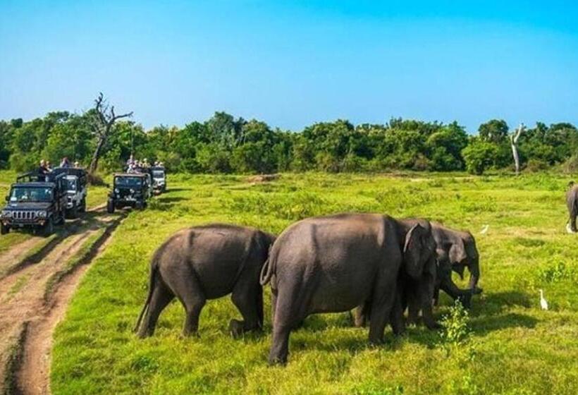 디럭스 트리플 룸, Sigiriya Pikaso Homestay